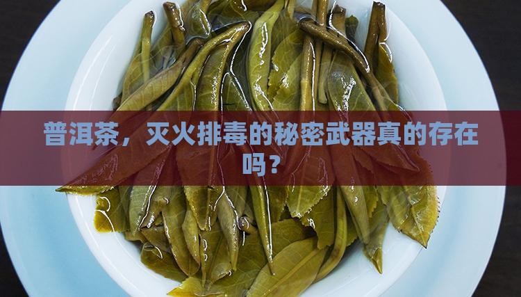 普洱茶，灭火排毒的秘密武器真的存在吗？