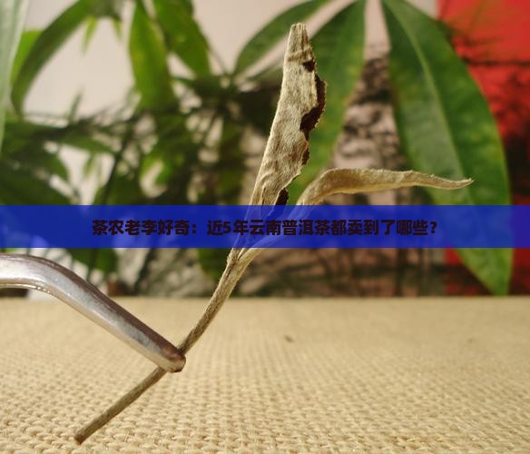 茶农老李好奇：近5年云南普洱茶都卖到了哪些？