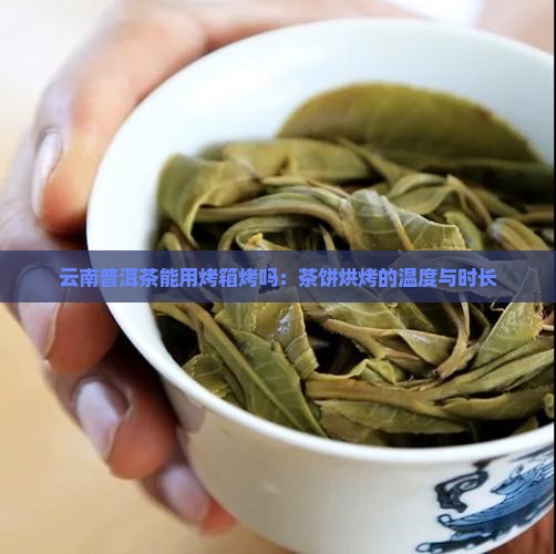 云南普洱茶能用烤箱烤吗：茶饼烘烤的温度与时长
