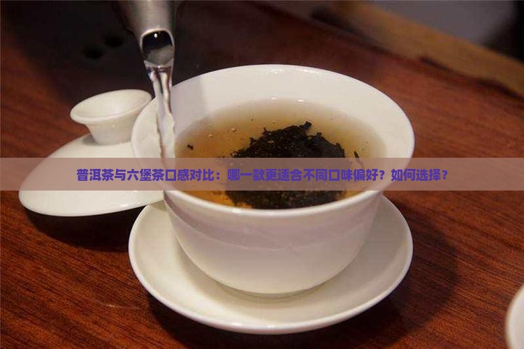 普洱茶与六堡茶口感对比：哪一款更适合不同口味偏好？如何选择？