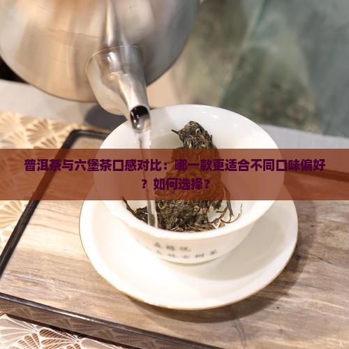 普洱茶与六堡茶口感对比：哪一款更适合不同口味偏好？如何选择？