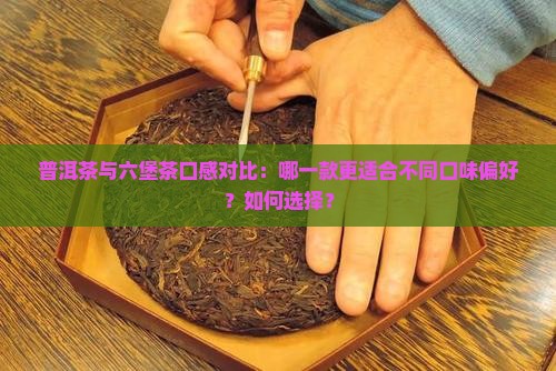 普洱茶与六堡茶口感对比：哪一款更适合不同口味偏好？如何选择？