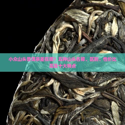 小众山头普洱茶差在哪？五种山头名称、区别、性价比高及十大特点