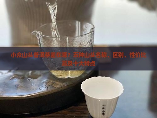 小众山头普洱茶差在哪？五种山头名称、区别、性价比高及十大特点