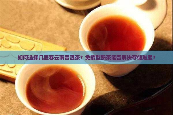 如何选择几壶春云南普洱茶?免撬型熟茶能否解决存储难题? 如何选择几壶春云南普洱茶?免撬型熟茶能否解决存储难题?