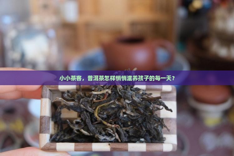 小小茶客，普洱茶怎样悄悄滋养孩子的每一天？