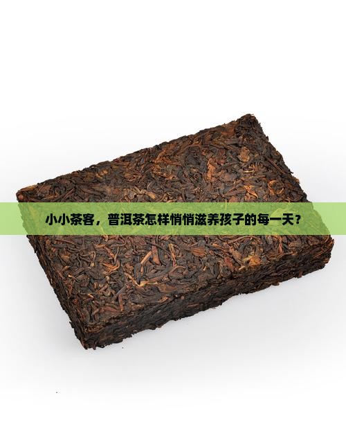 小小茶客，普洱茶怎样悄悄滋养孩子的每一天？