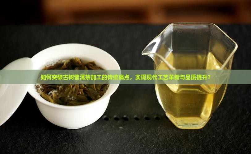如何突破古树普洱茶加工的传统痛点，实现现代工艺革新与品质提升？