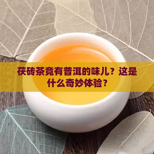 茯砖茶竟有普洱的味儿？这是什么奇妙体验？