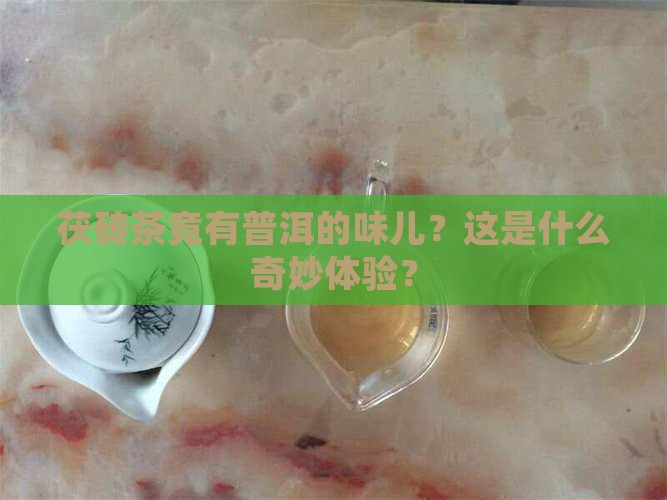 茯砖茶竟有普洱的味儿？这是什么奇妙体验？