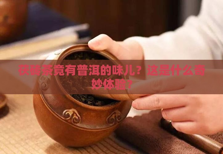 茯砖茶竟有普洱的味儿？这是什么奇妙体验？