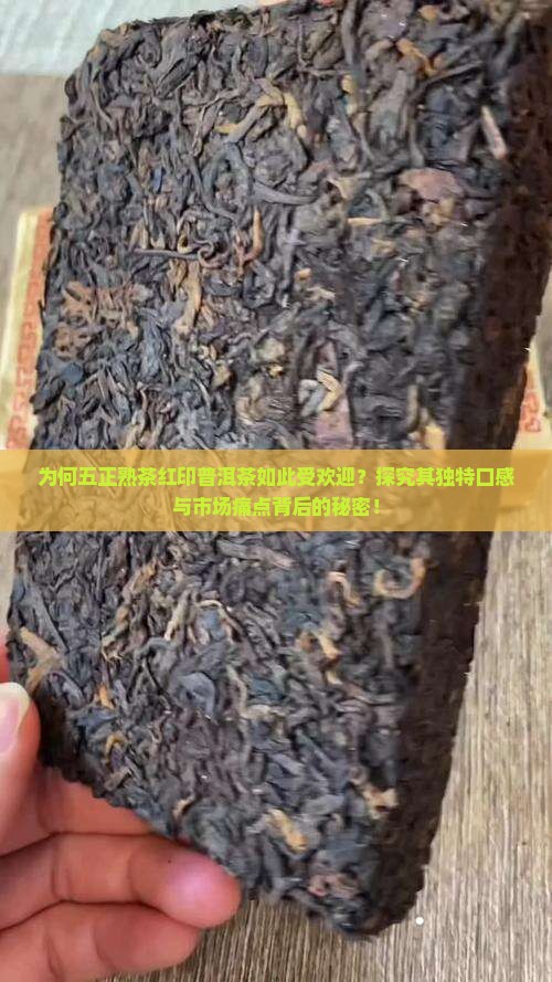 为何五正熟茶红印普洱茶如此受欢迎？探究其独特口感与市场痛点背后的秘密！