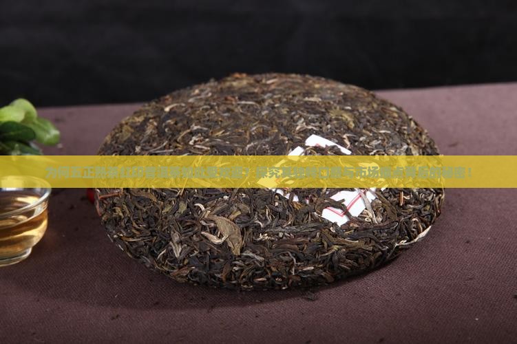 为何五正熟茶红印普洱茶如此受欢迎？探究其独特口感与市场痛点背后的秘密！