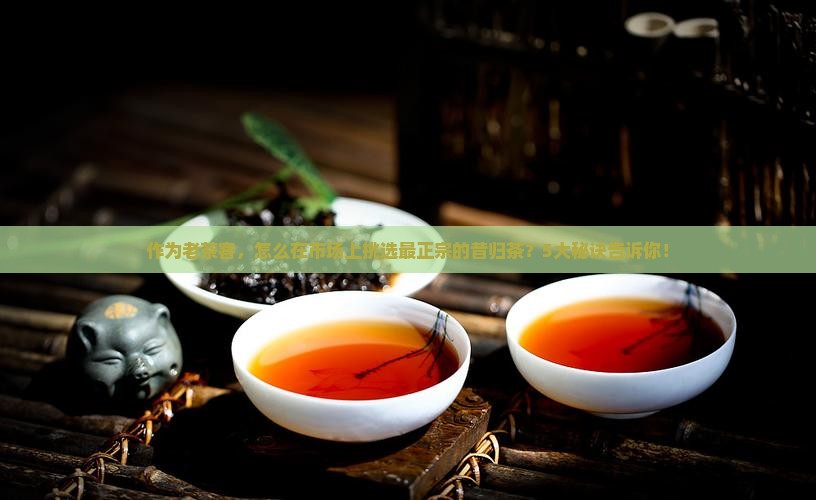 作为老茶客，怎么在市场上挑选最正宗的昔归茶？5大秘诀告诉你！