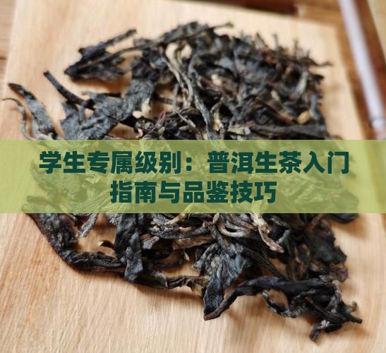 学生专属级别：普洱生茶入门指南与品鉴技巧