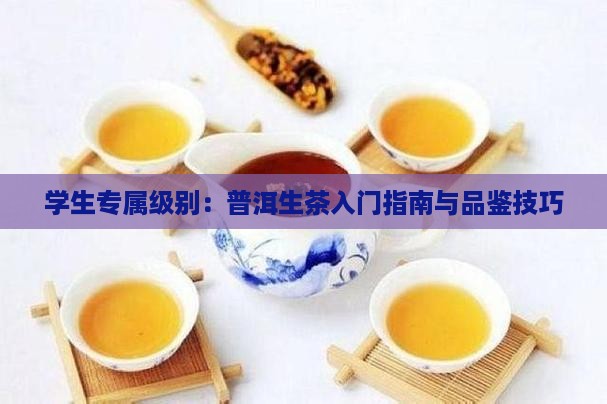 学生专属级别：普洱生茶入门指南与品鉴技巧