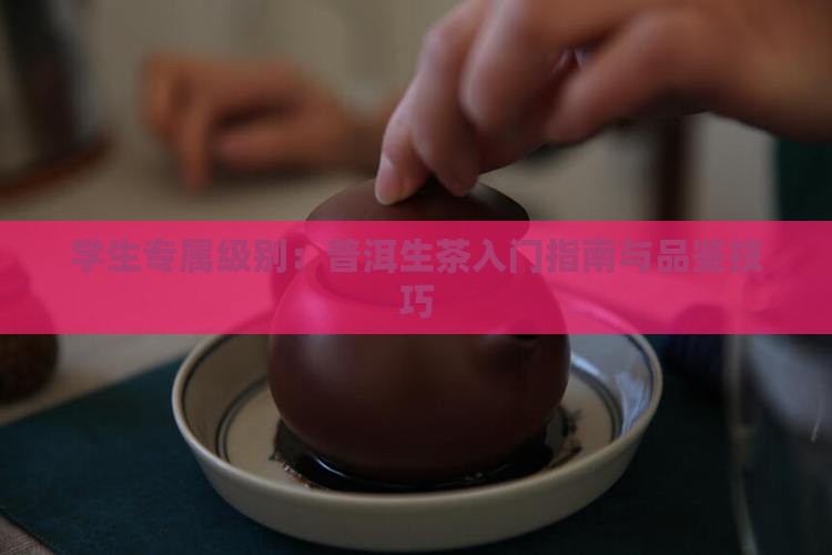 学生专属级别：普洱生茶入门指南与品鉴技巧