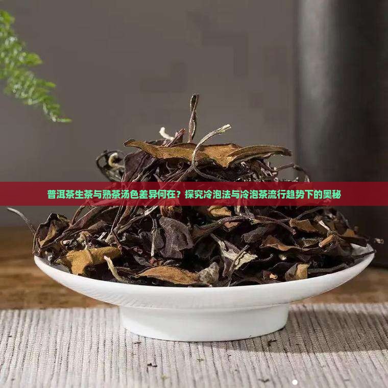 普洱茶生茶与熟茶汤色差异何在？探究冷泡法与冷泡茶流行趋势下的奥秘