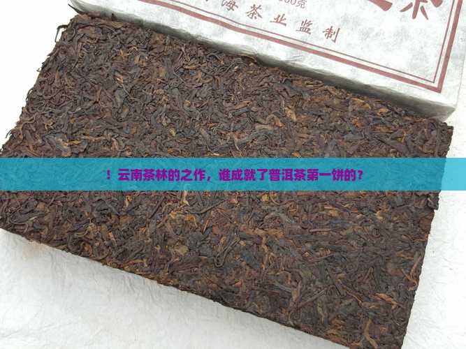 ！云南茶林的之作，谁成就了普洱茶第一饼的？
