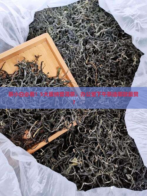 茶小白必看！5大版纳普洱茶，办公室下午茶选哪款最赞？