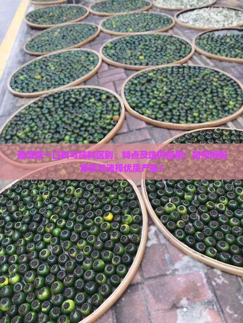 普洱茶一口料与纯料区别、特点及选购指南：如何辨别真伪与选择优质产品？
