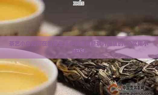 茶艺小白如何在日常生活中快速判断茶叶品质的5个实用小技巧？