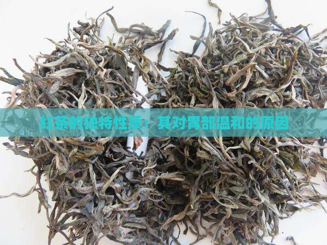 红茶的独特性质：其对胃部温和的原因
