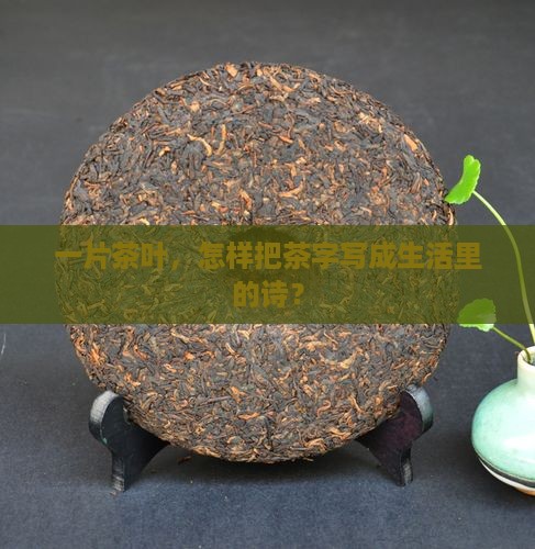 一片茶叶，怎样把茶字写成生活里的诗？