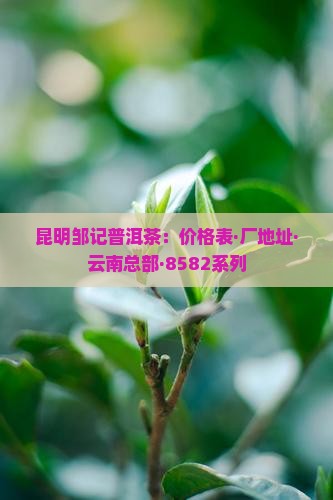 昆明邹记普洱茶：价格表·厂地址·云南总部·8582系列