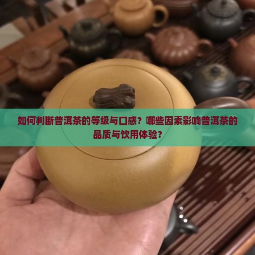 如何判断普洱茶的等级与口感？哪些因素影响普洱茶的品质与饮用体验？