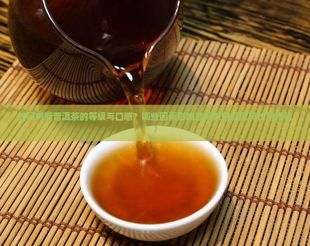 如何判断普洱茶的等级与口感？哪些因素影响普洱茶的品质与饮用体验？