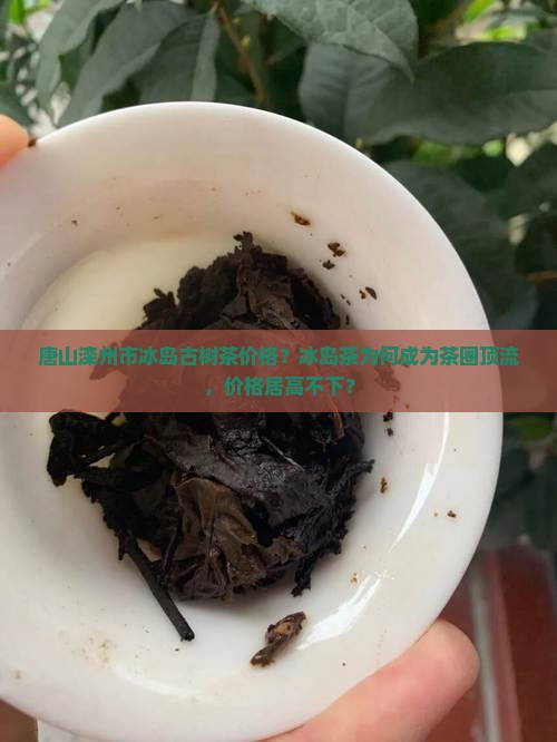 唐山滦州市冰岛古树茶价格？冰岛茶为何成为茶圈顶流，价格居高不下？