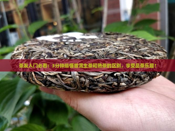 茶友入门必看：3分钟搞懂普洱生茶和熟茶的区别，享受品茶乐趣！