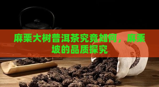 麻栗大树普洱茶究竟如何，麻栗坡的品质探究