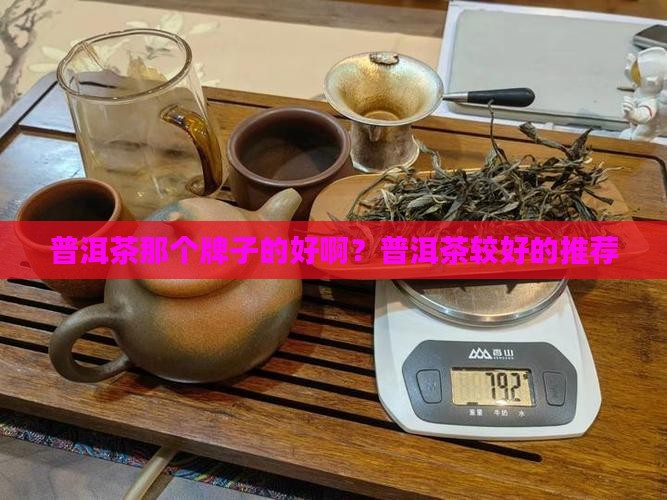 普洱茶那个牌子的好啊？普洱茶较好的推荐
