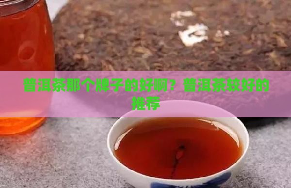 普洱茶那个牌子的好啊？普洱茶较好的推荐
