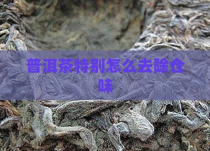 普洱茶特别怎么去除仓味