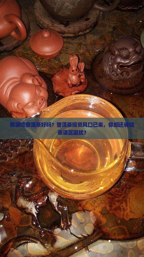 蔡澜吃普洱茶好吗？普洱茶投资风口已来，你却还被喝茶误区困扰？