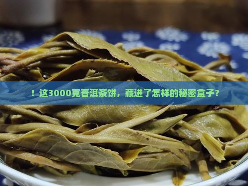 ！这3000克普洱茶饼，藏进了怎样的秘密盒子？