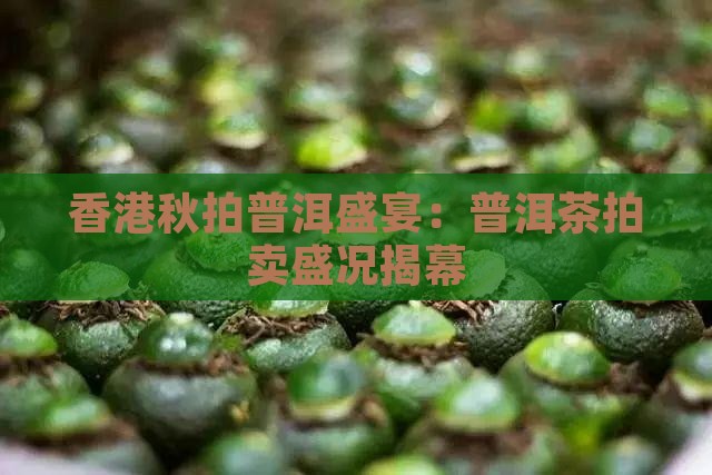 香港秋拍普洱茶