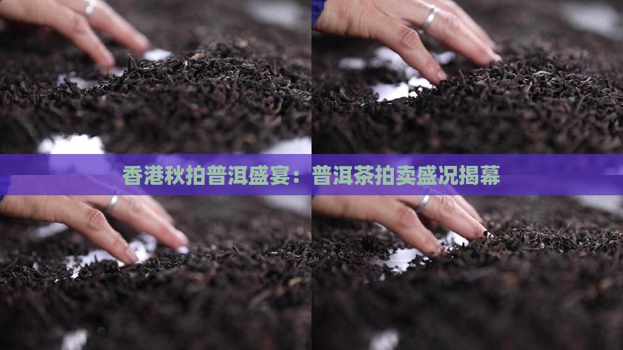 香港秋拍普洱茶