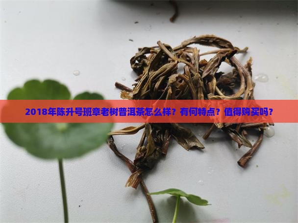 2018年陈升号班章老树