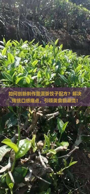 普洱茶饺子配方