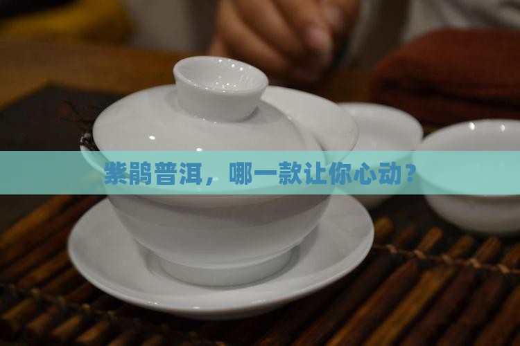 紫鹃普洱茶是啥品种的好