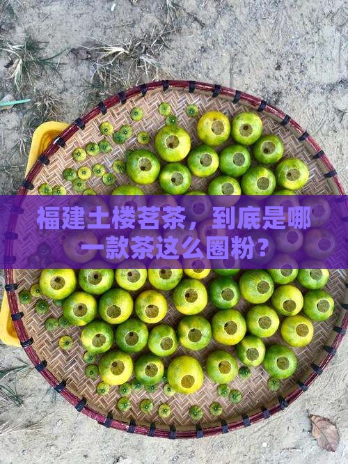 土楼茗茶是属于什么茶