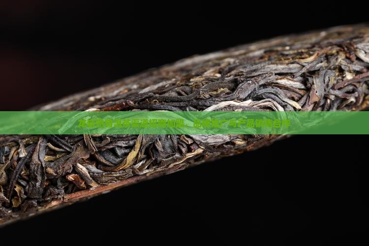 龙岩熟普洱茶渠道招商加盟