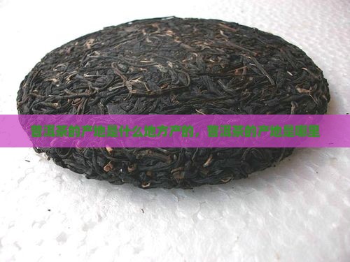 普洱茶的产地是什么地方产的