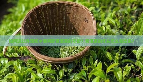 普洱茶的年头怎么看出来