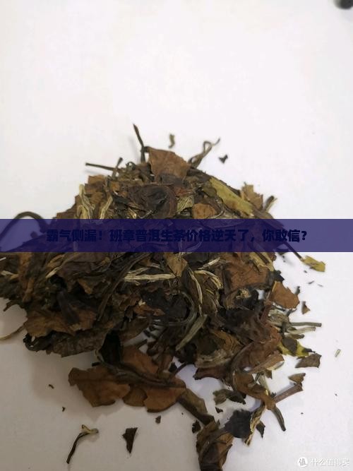 霸王班章普洱茶生茶价格