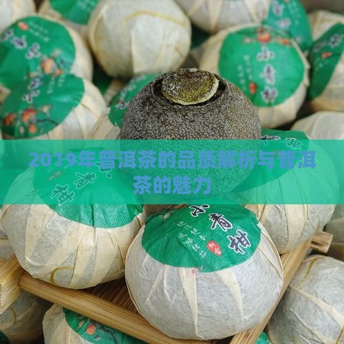 2019的普洱茶怎么样